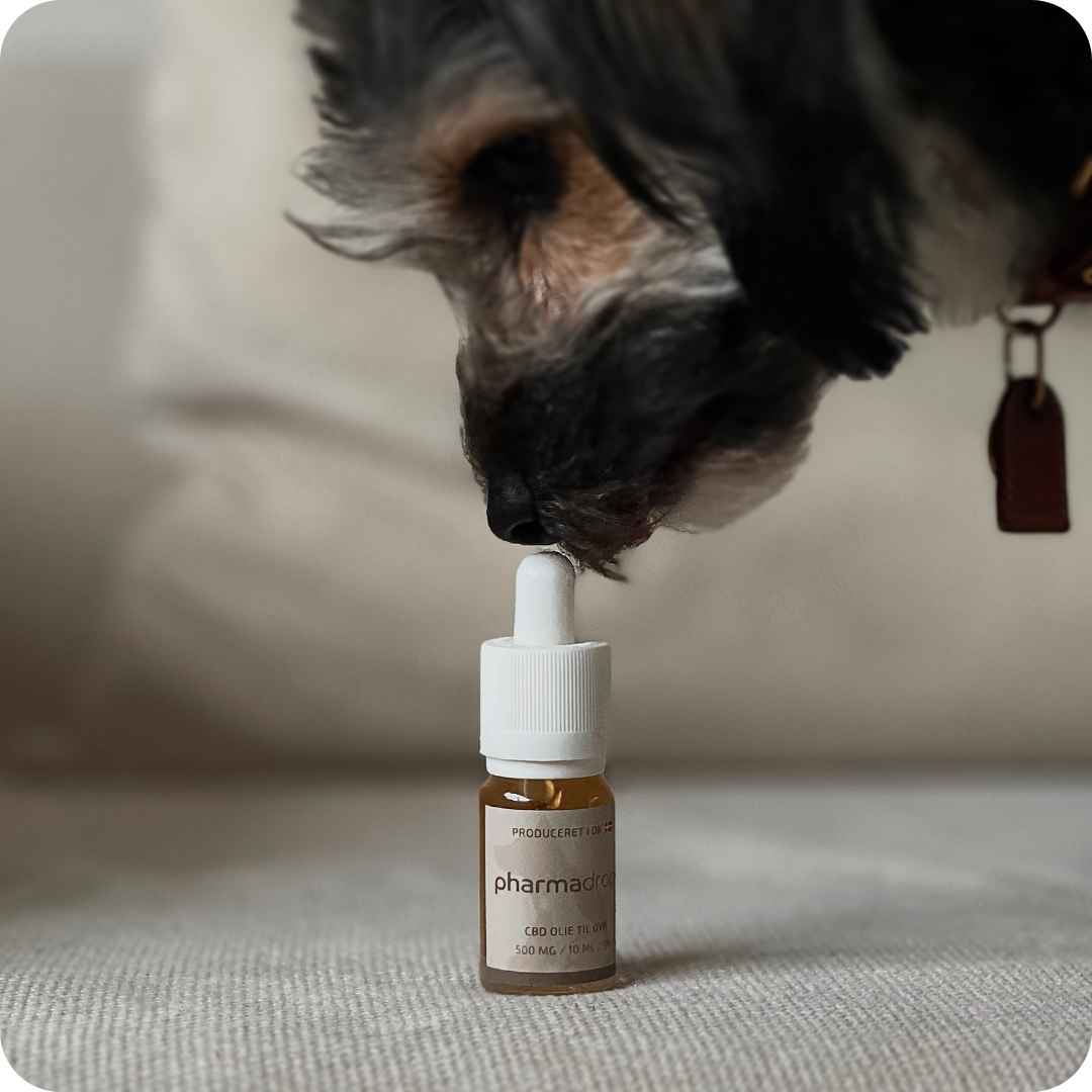Pharmadrops.de