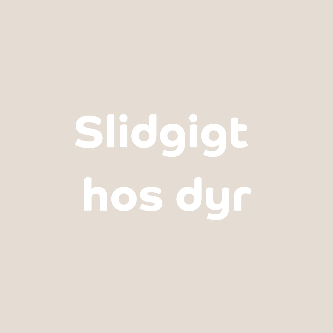 Kan CBD-olie hjælpe mod dit kæledyrs slidgigt?