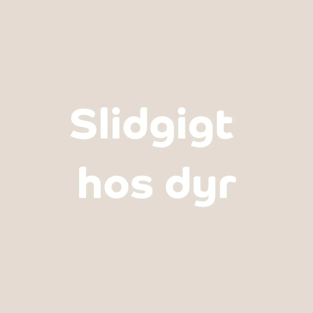 Kan CBD-olie hjælpe mod dit kæledyrs slidgigt?