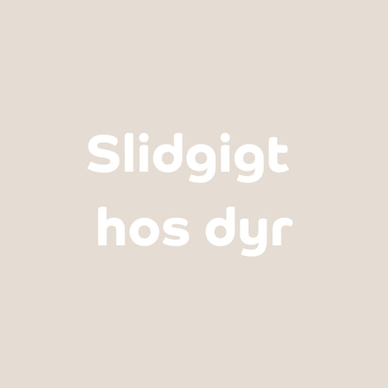 Kan CBD-olie hjælpe mod dit kæledyrs slidgigt?
