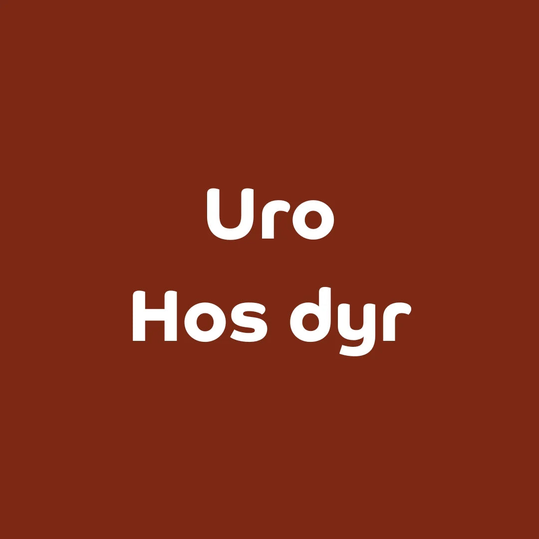 Hvorfor har dit kæledyr uro og kan CBD-olie hjælpe?