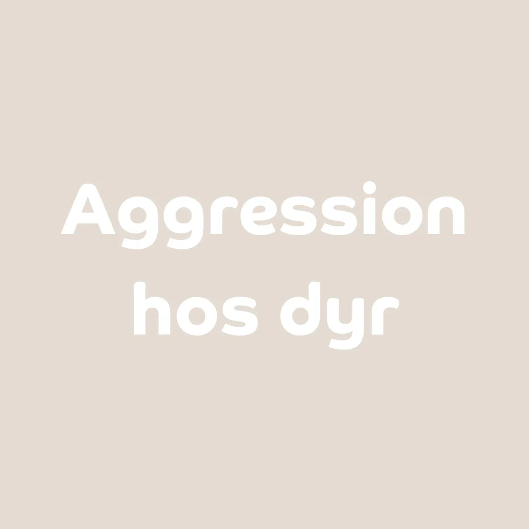 Kan CBD-olie reducere aggressioner hos dyr?