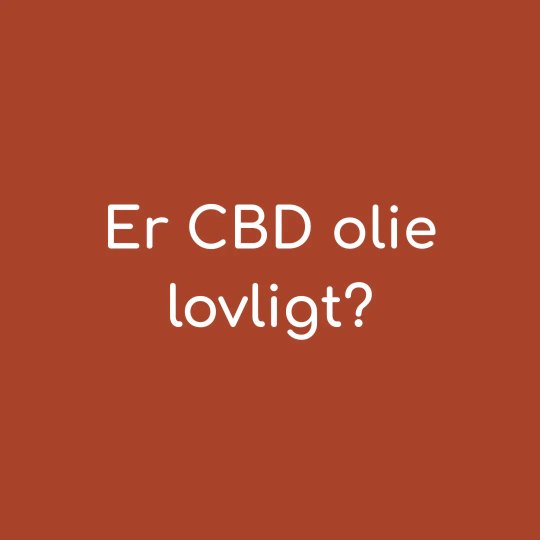 Er CBD olie lovligt? Her er, hvad du bør vide i 2025
