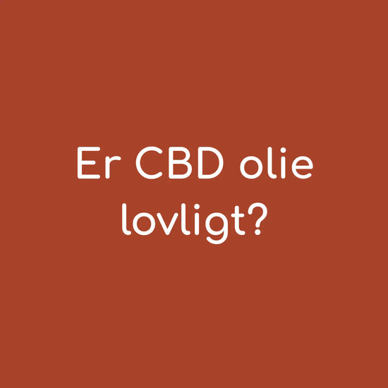 Er CBD olie lovligt? Her er, hvad du bør vide i 2025