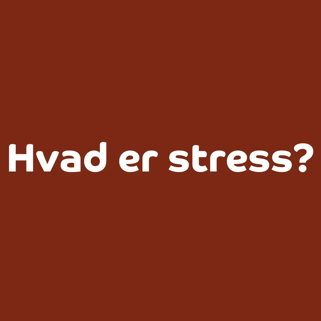 Hvad er stress?