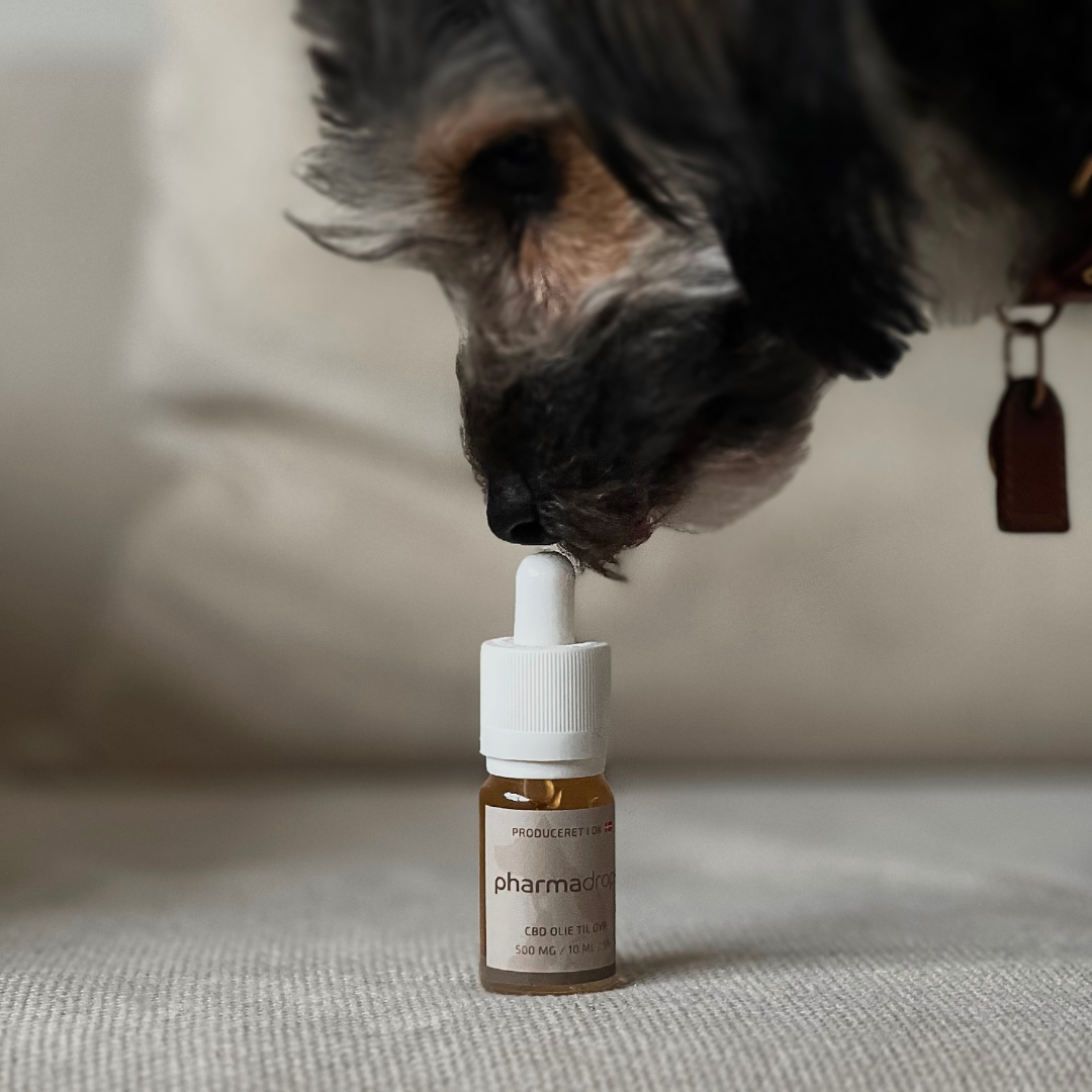 CBD für Tiere 5%