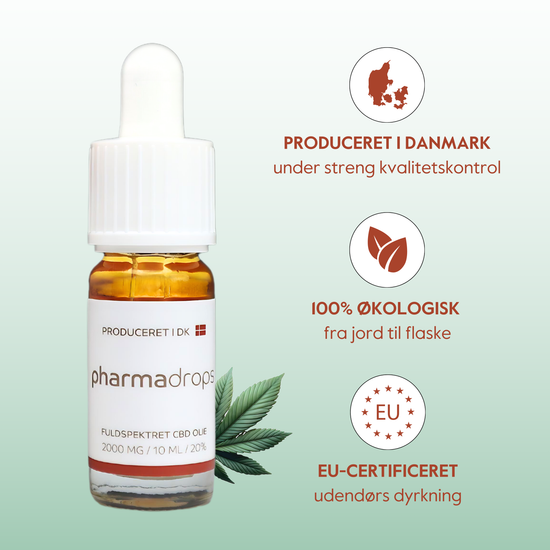 CBD olie 10% 3-pak